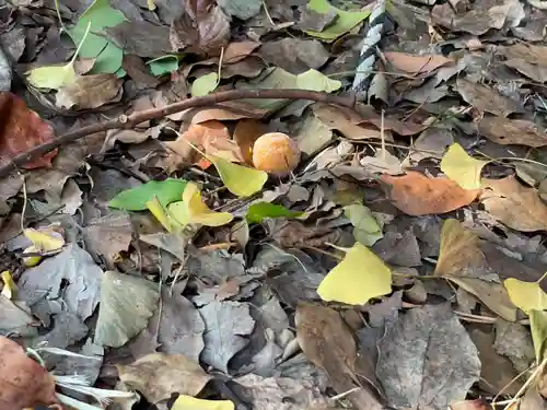 伊勢の国 四天王寺(三重県)