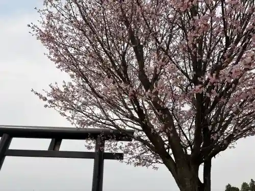 古四王神社の{uncategorized: "未分類", other: "その他", undefined: "問題あり", building: "その他建物", grave: "お墓", sacred_gate: "鳥居", guardian: "狛犬", statue: "像", buddha: "仏像", history: "歴史", nature: "自然", garden: "庭園", animal: "動物", pagoda: "塔", temizu: "手水舎", mountain_gate: "山門・神門", sanctuary: "本殿・本堂", subordinate: "末社・摂社", art: "芸術", scenery: "景色", jizo: "地蔵", ema: "絵馬", goshuin: "御朱印", omikuji: "おみくじ", items: "授与品その他", amulet: "お守り", goshuincho: "御朱印帳", eats: "食事", festival: "お祭り", votive_dance: "神楽", shichigosan: "七五三参", wedding: "結婚式", experience: "体験その他", initially: "初詣", around: "周辺", anti_infection: "感染症対策"}