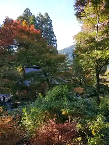 三千院門跡の{uncategorized: "未分類", other: "その他", undefined: "問題あり", building: "その他建物", grave: "お墓", sacred_gate: "鳥居", guardian: "狛犬", statue: "像", buddha: "仏像", history: "歴史", nature: "自然", garden: "庭園", animal: "動物", pagoda: "塔", temizu: "手水舎", mountain_gate: "山門・神門", sanctuary: "本殿・本堂", subordinate: "末社・摂社", art: "芸術", scenery: "景色", jizo: "地蔵", ema: "絵馬", goshuin: "御朱印", omikuji: "おみくじ", items: "授与品その他", amulet: "お守り", goshuincho: "御朱印帳", eats: "食事", festival: "お祭り", votive_dance: "神楽", shichigosan: "七五三参", wedding: "結婚式", experience: "体験その他", initially: "初詣", around: "周辺", anti_infection: "感染症対策"}