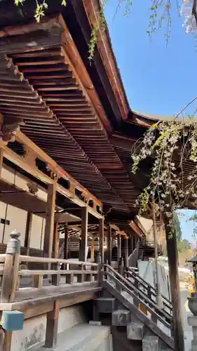 金剛寺(大阪府)