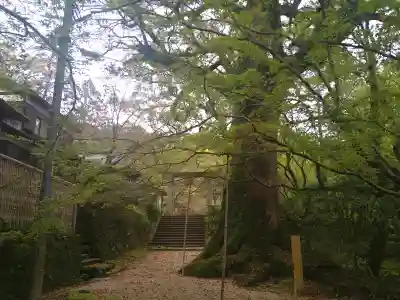 仁比山神社の{uncategorized: "未分類", other: "その他", undefined: "問題あり", building: "その他建物", grave: "お墓", sacred_gate: "鳥居", guardian: "狛犬", statue: "像", buddha: "仏像", history: "歴史", nature: "自然", garden: "庭園", animal: "動物", pagoda: "塔", temizu: "手水舎", mountain_gate: "山門・神門", sanctuary: "本殿・本堂", subordinate: "末社・摂社", art: "芸術", scenery: "景色", jizo: "地蔵", ema: "絵馬", goshuin: "御朱印", omikuji: "おみくじ", items: "授与品その他", amulet: "お守り", goshuincho: "御朱印帳", eats: "食事", festival: "お祭り", votive_dance: "神楽", shichigosan: "七五三参", wedding: "結婚式", experience: "体験その他", initially: "初詣", around: "周辺", anti_infection: "感染症対策"}