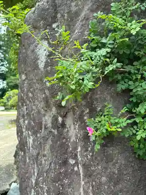 無量寿寺(茨城県)