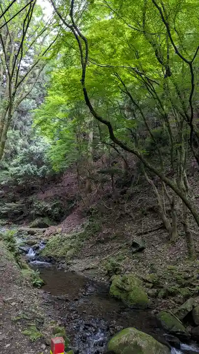 法嚴寺(法厳寺)(京都府)