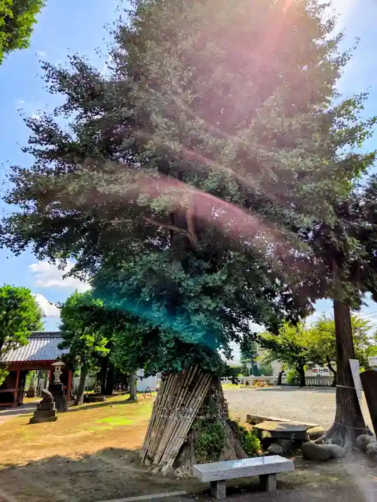 諏訪神社(東京都)