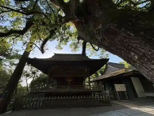 金刀比羅宮(香川県)