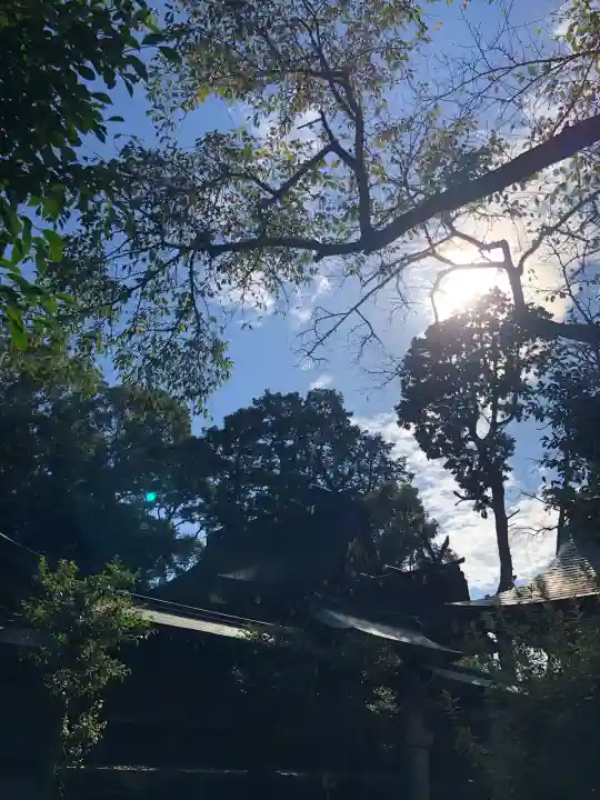 伊太祁曽神社(和歌山県)