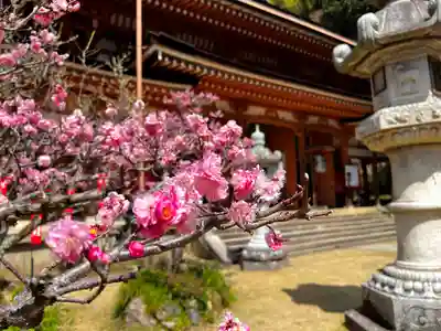 宝厳寺(滋賀県)