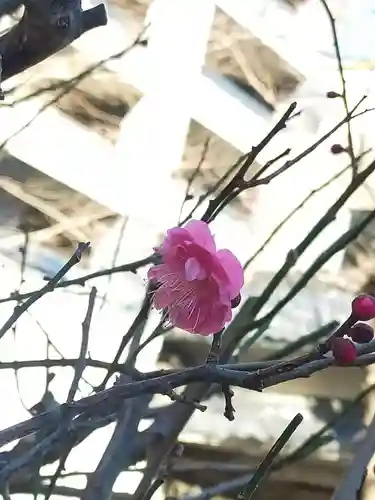 小野照崎神社(東京都)
