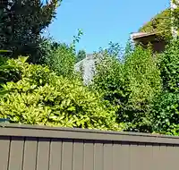 新福寺の本殿・本堂