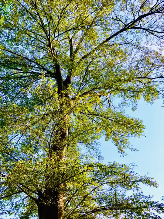 岡見八坂神社(茨城県)