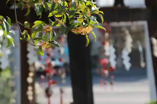 豊景神社の景色