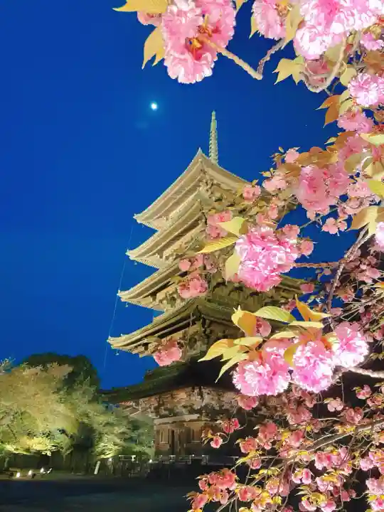 東寺(教王護国寺)の塔