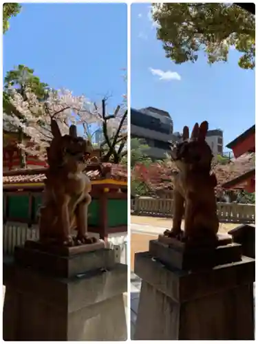 生田神社の狛犬