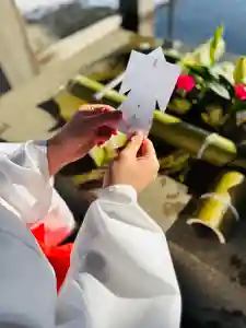 守りの神 藤基神社(新潟県)(2025年12月30日(火) 12時02分23秒投稿)