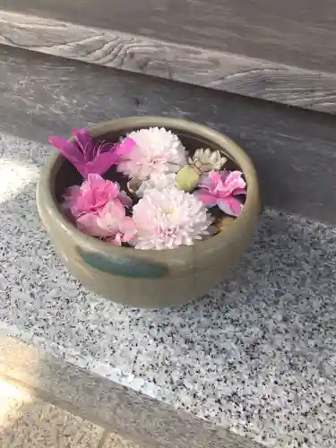 谷中 妙福寺(東京都)