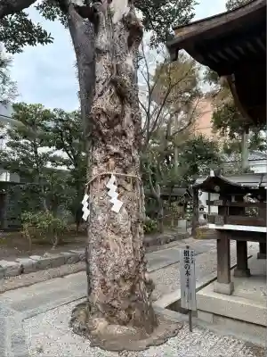 大将軍八神社(京都府)