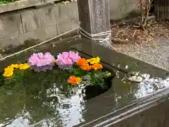 前玉神社の手水