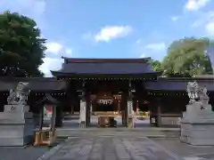 亀ケ池八幡宮(神奈川県)