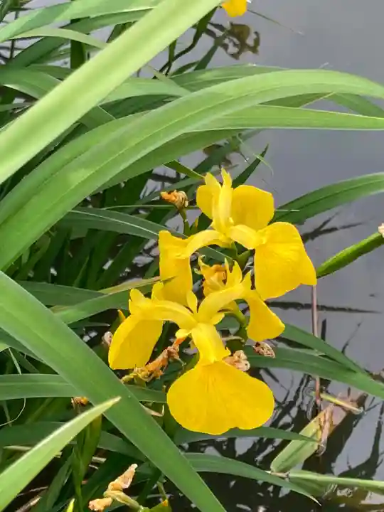 尾上神社の自然