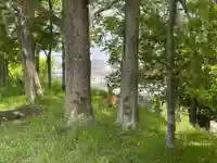 釧路一之宮 厳島神社の動物