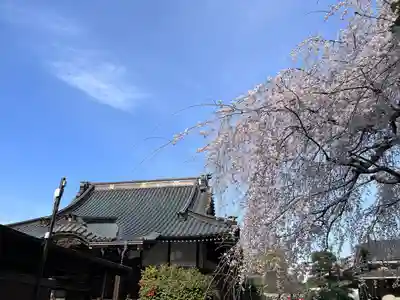 日蓮宗　浄運寺(東京都)
