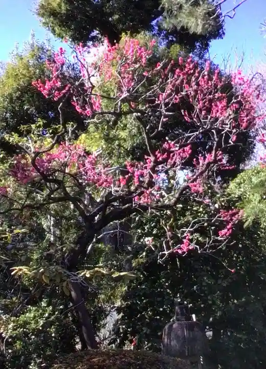 東長谷寺 薬王院(東京都)