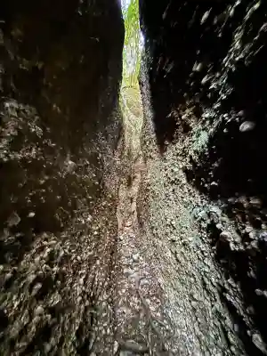 小笠神社の{uncategorized: "未分類", other: "その他", undefined: "問題あり", building: "その他建物", grave: "お墓", sacred_gate: "鳥居", guardian: "狛犬", statue: "像", buddha: "仏像", history: "歴史", nature: "自然", garden: "庭園", animal: "動物", pagoda: "塔", temizu: "手水舎", mountain_gate: "山門・神門", sanctuary: "本殿・本堂", subordinate: "末社・摂社", art: "芸術", scenery: "景色", jizo: "地蔵", ema: "絵馬", goshuin: "御朱印", omikuji: "おみくじ", items: "授与品その他", amulet: "お守り", goshuincho: "御朱印帳", eats: "食事", festival: "お祭り", votive_dance: "神楽", shichigosan: "七五三参", wedding: "結婚式", experience: "体験その他", initially: "初詣", around: "周辺", anti_infection: "感染症対策"}