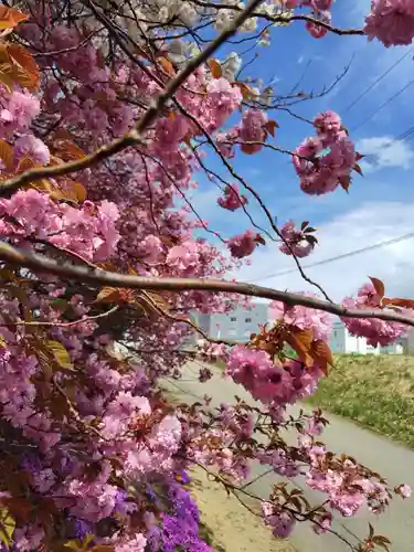 厚別神社(北海道)