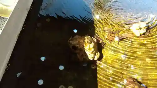 南湖神社のその他建物