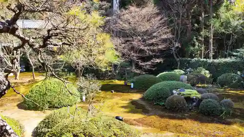 雲龍院の庭園