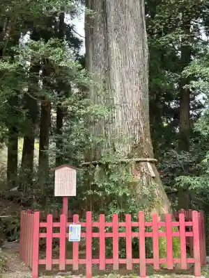 箱根神社(神奈川県)