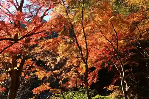 八雲神社(山梨県)