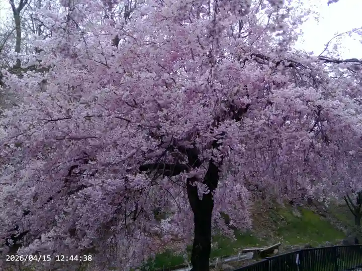 懐古神社の{uncategorized: "未分類", other: "その他", undefined: "問題あり", building: "その他建物", grave: "お墓", sacred_gate: "鳥居", guardian: "狛犬", statue: "像", buddha: "仏像", history: "歴史", nature: "自然", garden: "庭園", animal: "動物", pagoda: "塔", temizu: "手水舎", mountain_gate: "山門・神門", sanctuary: "本殿・本堂", subordinate: "末社・摂社", art: "芸術", scenery: "景色", jizo: "地蔵", ema: "絵馬", goshuin: "御朱印", omikuji: "おみくじ", items: "授与品その他", amulet: "お守り", goshuincho: "御朱印帳", eats: "食事", festival: "お祭り", votive_dance: "神楽", shichigosan: "七五三参", wedding: "結婚式", experience: "体験その他", initially: "初詣", around: "周辺", anti_infection: "感染症対策"}