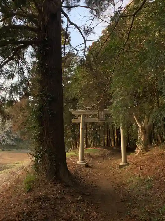 駒形神社(千葉県)