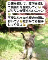 専念寺(大阪府)