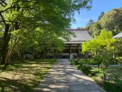 観心寺の{uncategorized: "未分類", other: "その他", undefined: "問題あり", building: "その他建物", grave: "お墓", sacred_gate: "鳥居", guardian: "狛犬", statue: "像", buddha: "仏像", history: "歴史", nature: "自然", garden: "庭園", animal: "動物", pagoda: "塔", temizu: "手水舎", mountain_gate: "山門・神門", sanctuary: "本殿・本堂", subordinate: "末社・摂社", art: "芸術", scenery: "景色", jizo: "地蔵", ema: "絵馬", goshuin: "御朱印", omikuji: "おみくじ", items: "授与品その他", amulet: "お守り", goshuincho: "御朱印帳", eats: "食事", festival: "お祭り", votive_dance: "神楽", shichigosan: "七五三参", wedding: "結婚式", experience: "体験その他", initially: "初詣", around: "周辺", anti_infection: "感染症対策"}