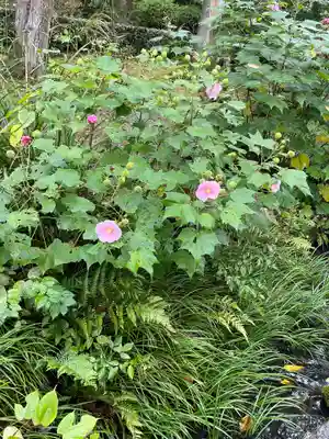 天龍寺(京都府)