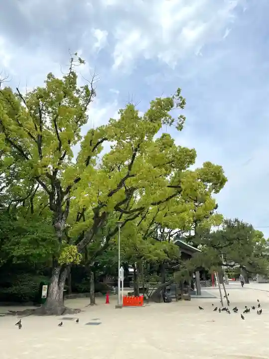 筥崎宮(福岡県)