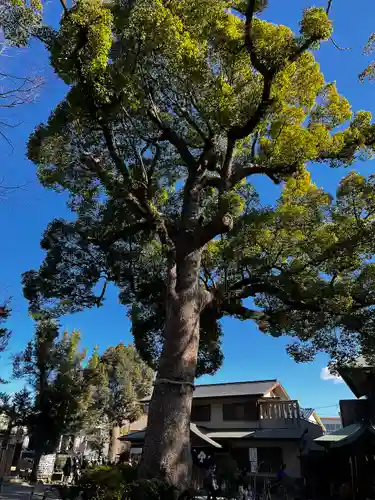東天神社(兵庫県)