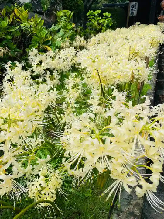 横浜 西方寺(神奈川県)