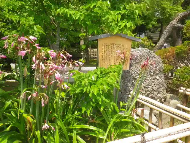鶴岡八幡宮の庭園