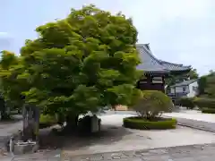 阿弥陀寺(京都府)