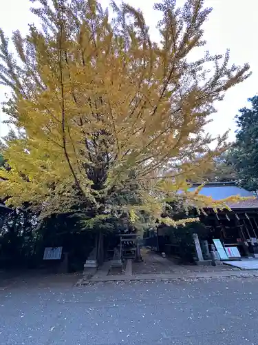 小平神明宮(東京都)