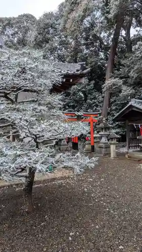 若松神社(滋賀県)