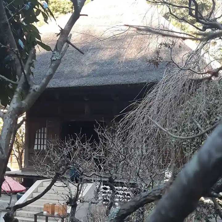 佛日庵(神奈川県)