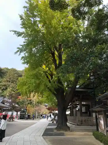 清荒神清澄寺の自然