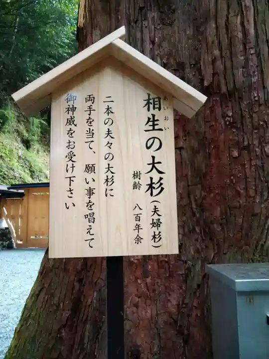 丹生川上神社(中社)(奈良県)