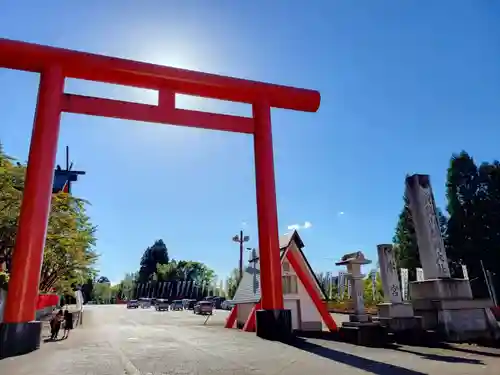 宝徳山稲荷大社の鳥居