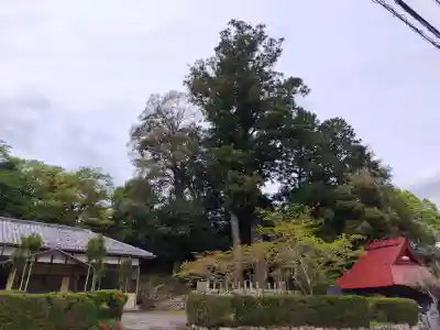 志波加神社の{uncategorized: "未分類", other: "その他", undefined: "問題あり", building: "その他建物", grave: "お墓", sacred_gate: "鳥居", guardian: "狛犬", statue: "像", buddha: "仏像", history: "歴史", nature: "自然", garden: "庭園", animal: "動物", pagoda: "塔", temizu: "手水舎", mountain_gate: "山門・神門", sanctuary: "本殿・本堂", subordinate: "末社・摂社", art: "芸術", scenery: "景色", jizo: "地蔵", ema: "絵馬", goshuin: "御朱印", omikuji: "おみくじ", items: "授与品その他", amulet: "お守り", goshuincho: "御朱印帳", eats: "食事", festival: "お祭り", votive_dance: "神楽", shichigosan: "七五三参", wedding: "結婚式", experience: "体験その他", initially: "初詣", around: "周辺", anti_infection: "感染症対策"}