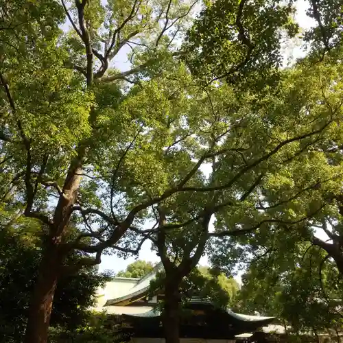 王子神社の自然